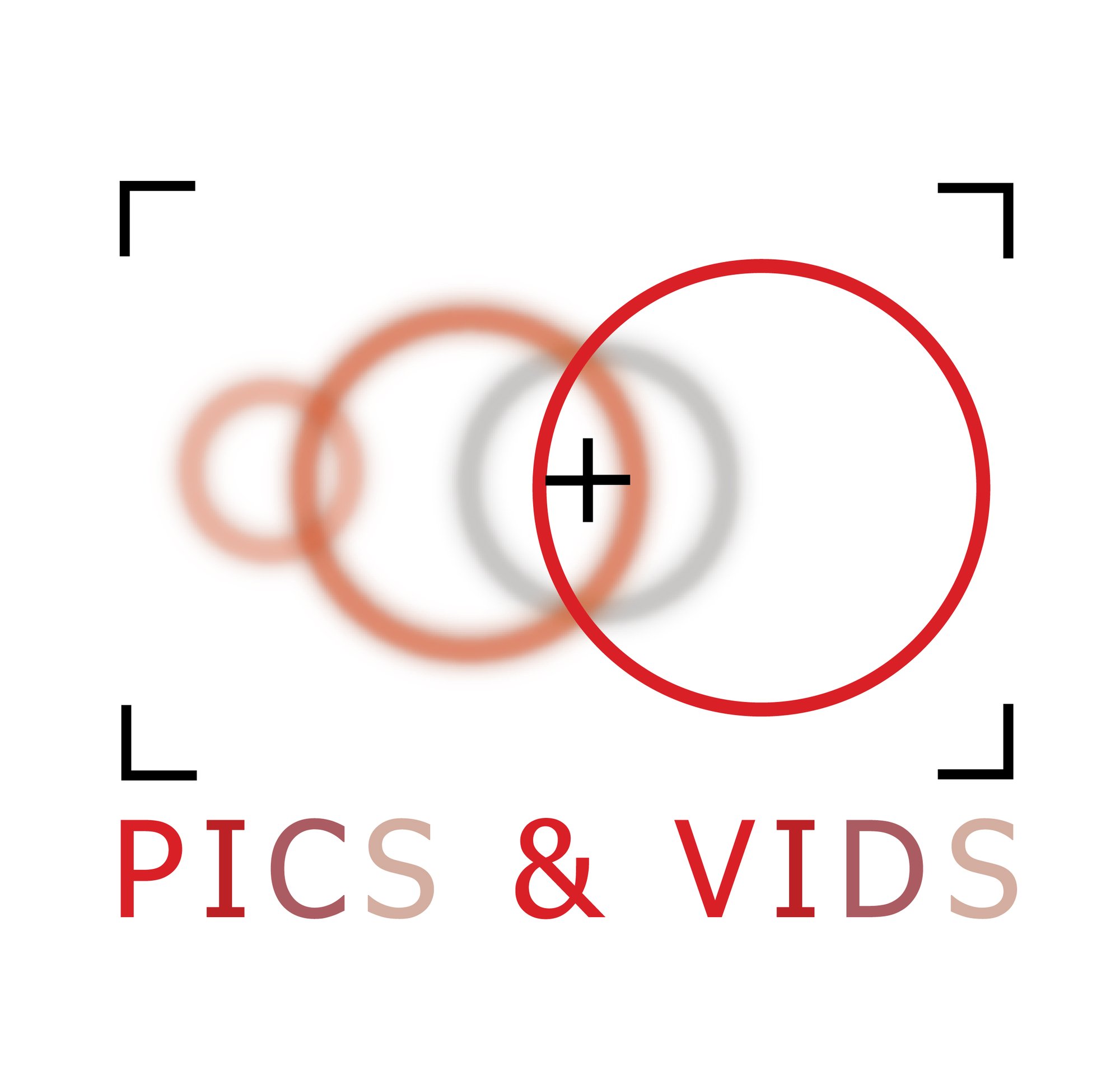 PICS & VIDS logo fotografie en videografie