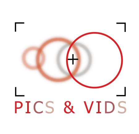 PICS & VIDS logo